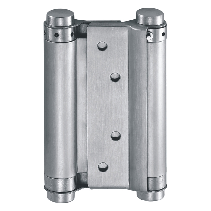 Double action spring hinge