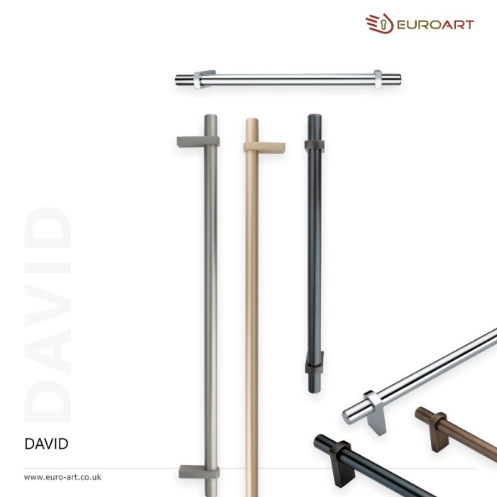 David - Image 2