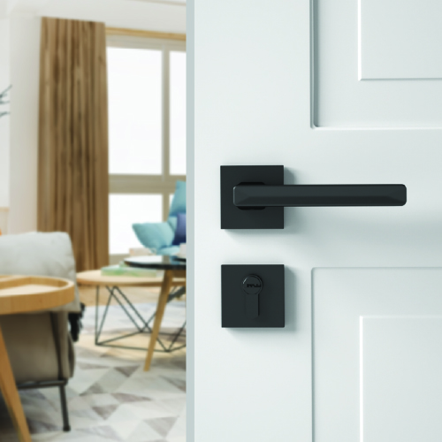 Escutcheon and Thumbturn
